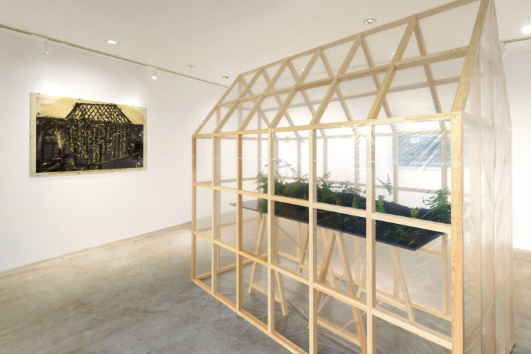 日本藝術家栗林隆,Takashi Kuribayashi,裝置藝術,自然主義