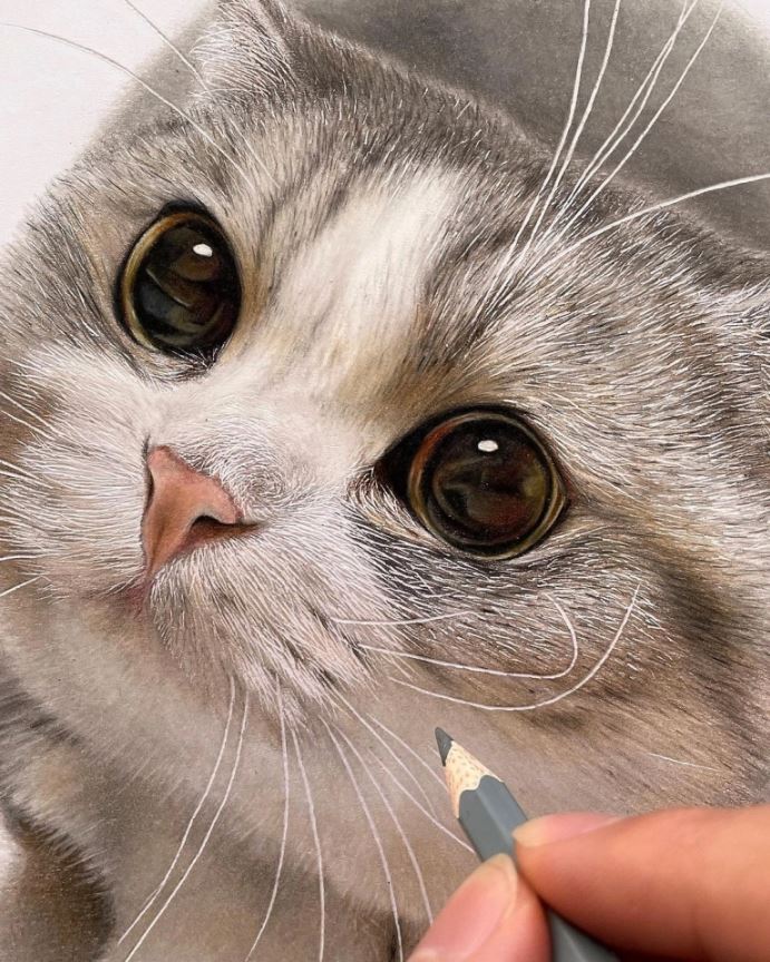 色鉛筆畫出來的照片！日本藝術家工藤陽輝的超寫實貓咪繪畫